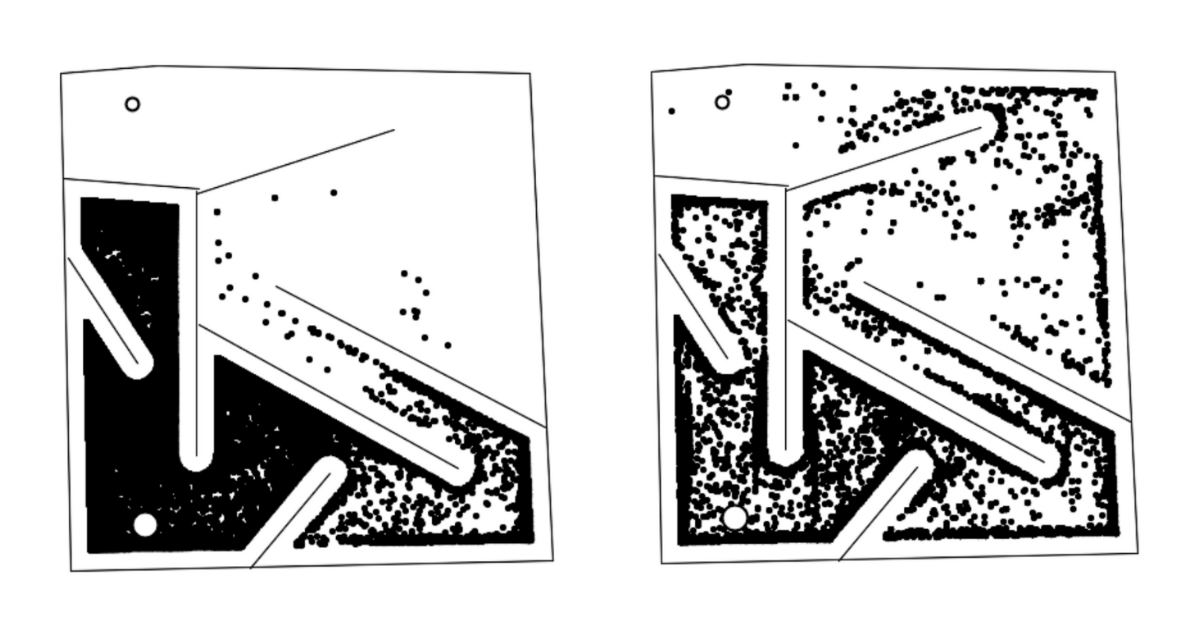 Exploration as a Path to General Intelligence thumbnail